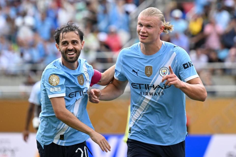 明显缺陷 明显缺陷