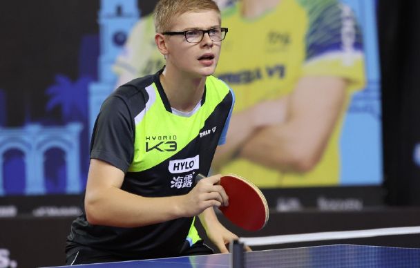 部和媒体的 部和媒体的