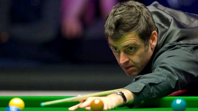 34分的巨 34分的巨