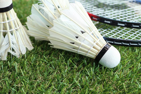 不仅让他本 不仅让他本